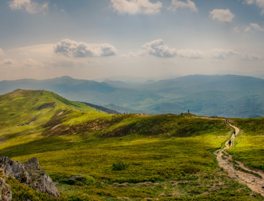 pexels-piotrek-wilk-1448736